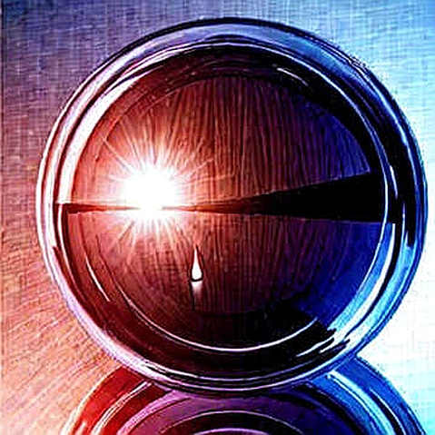 The Empty Ledger: When a Project Offers Nothing to Analyze The Empty Ledger: When a Project Offers Nothing to Analyze