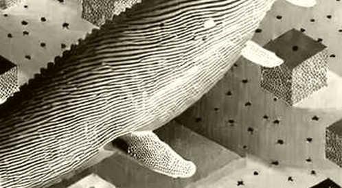 A Whale's Move: Reading Between the Unstaking Signals on Hyperliquid A Whale's Move: Reading Between the Unstaking Signals on Hyperliquid